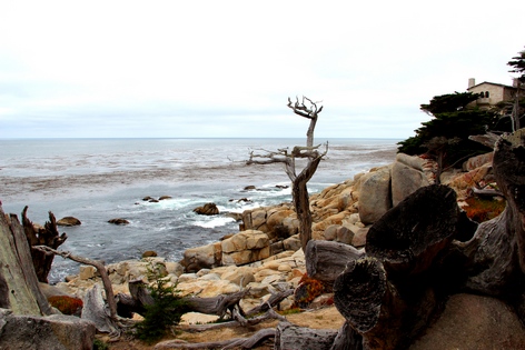 ��������� ����������